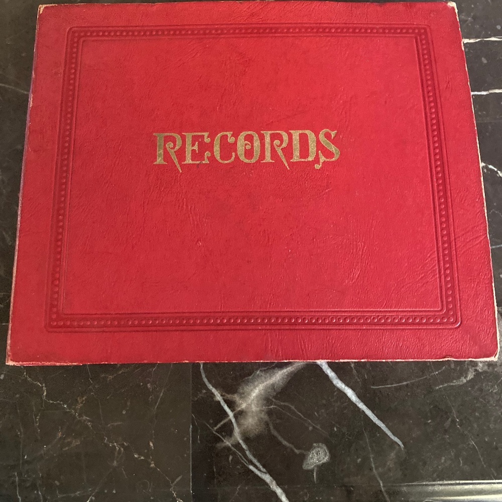 45 rpm record album.  Holds 12 records.  I have 2 one has a ripped first slot